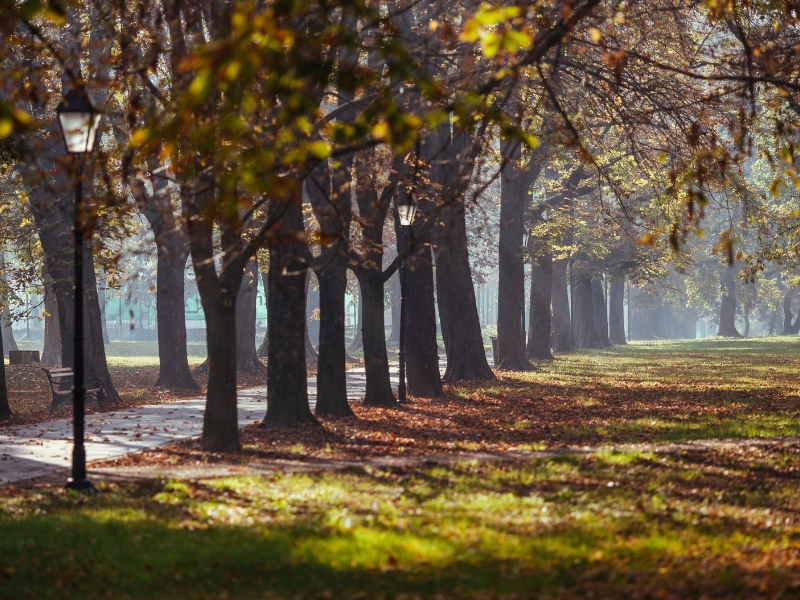 Obilježavanje 1100. obljetnice Hrvatskog Kraljevstva